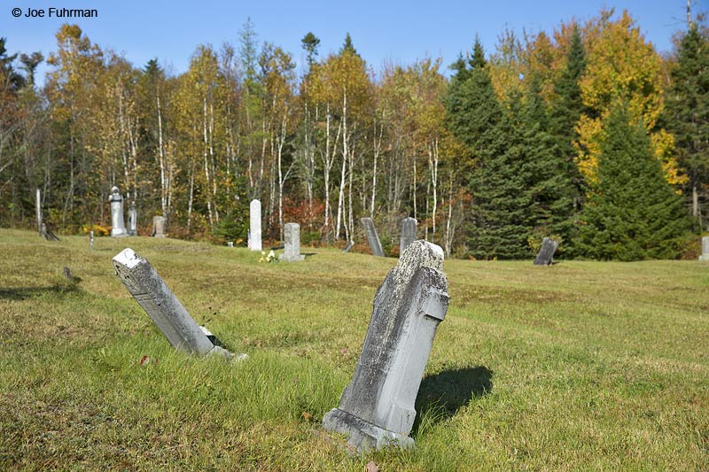 old cemeteryMachias, ME   Oct. 2014