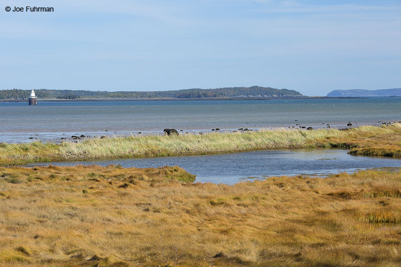 View of Lubec Channel-West Quoddy LighthouseLubec, ME   Oct. 2014