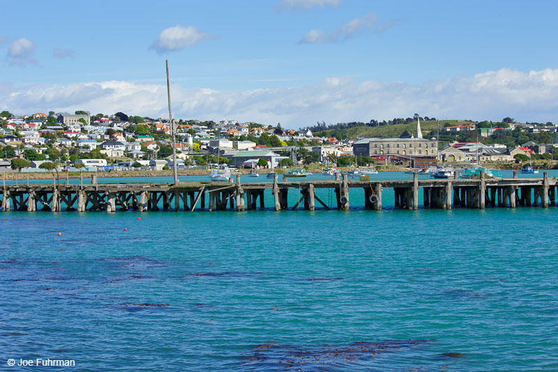 Oamaru, New Zealand   Nov. 2014