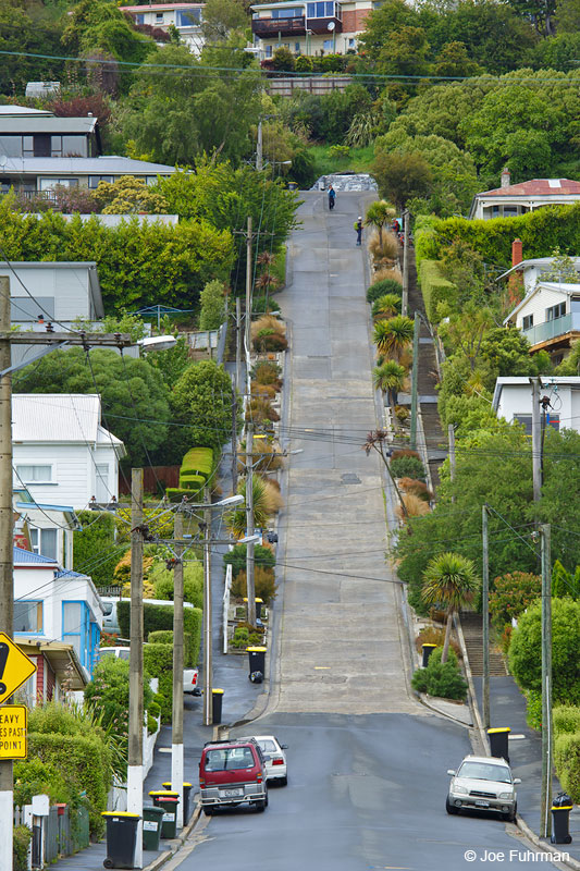 Baldwin St.-steepest street in the world. Dunedin, NZ Nov. 2014