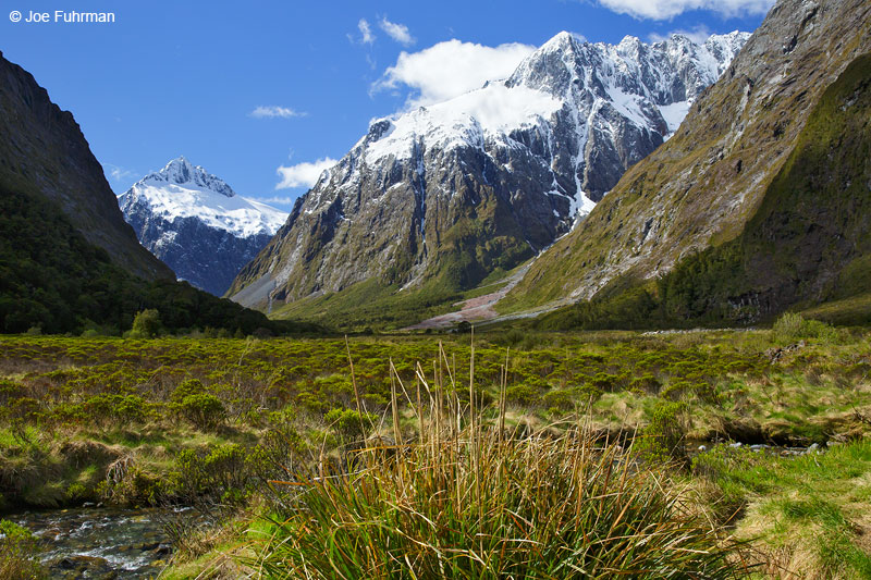 Fiordland National Park, NZ Nov. 2014