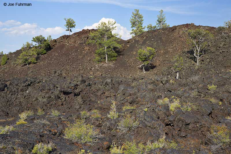 Craters of the Moon National Monument, IDAug. 2014