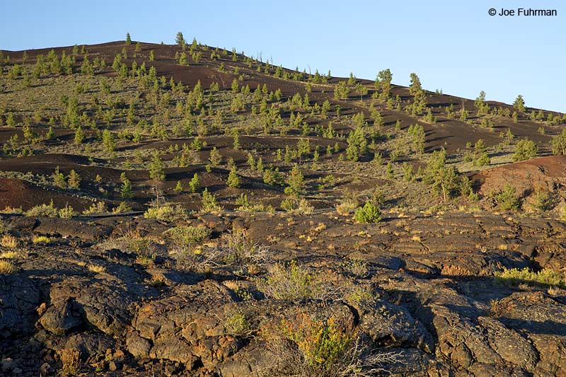 Craters of the Moon National Monument, IDAug. 2014