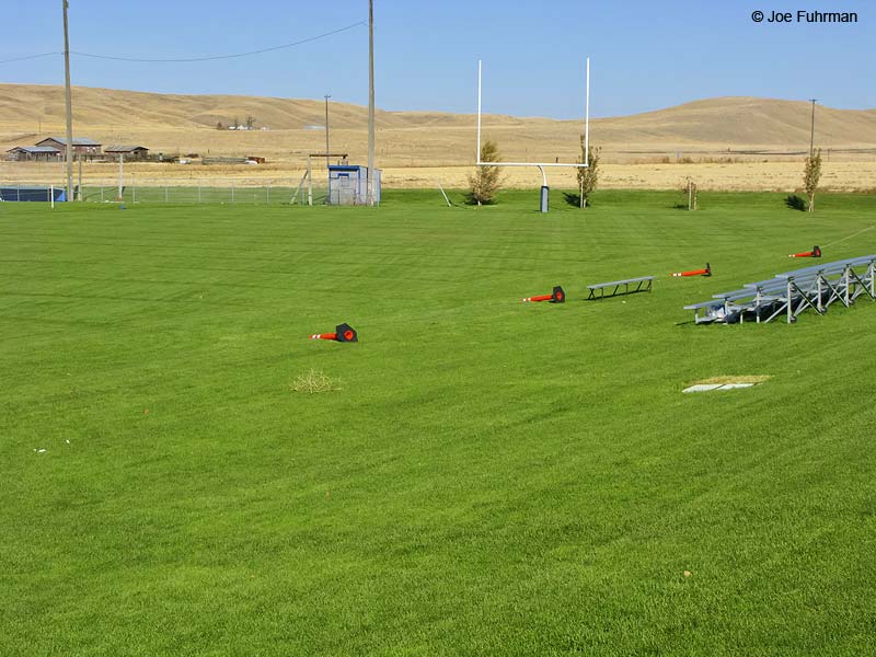 La Crosse, WA high school football fieldWhitman Co., WA October 2008