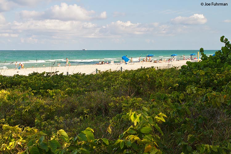 Miami Beach, FL April 2011