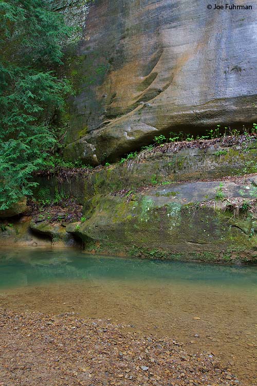 Hocking Hills State ParkHocking Co., OH    May 2011