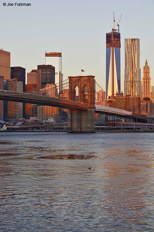 Brooklyn Bridge New York City, NY Jan. 2013
