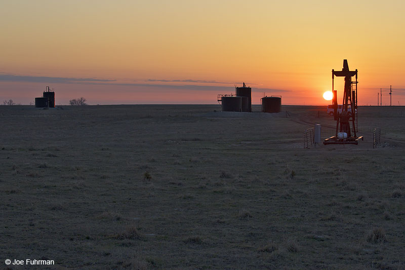 Sunrise on Greater Prairie-Chicken lekBarton Co., KS   April 2013