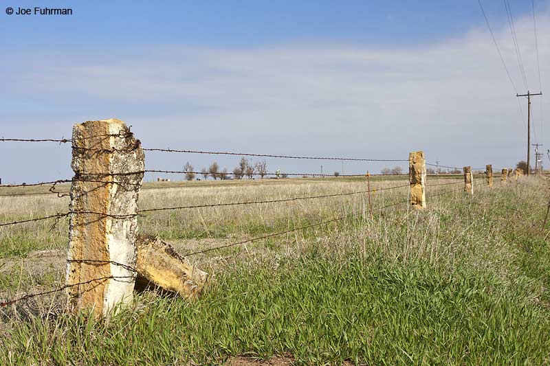 Old limestone fence post near Claflin, KSApril 2013