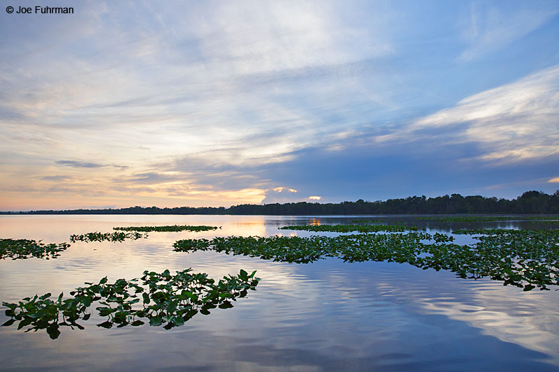 Lake Woodruff National Wildlife Refuge, FL   July 2015