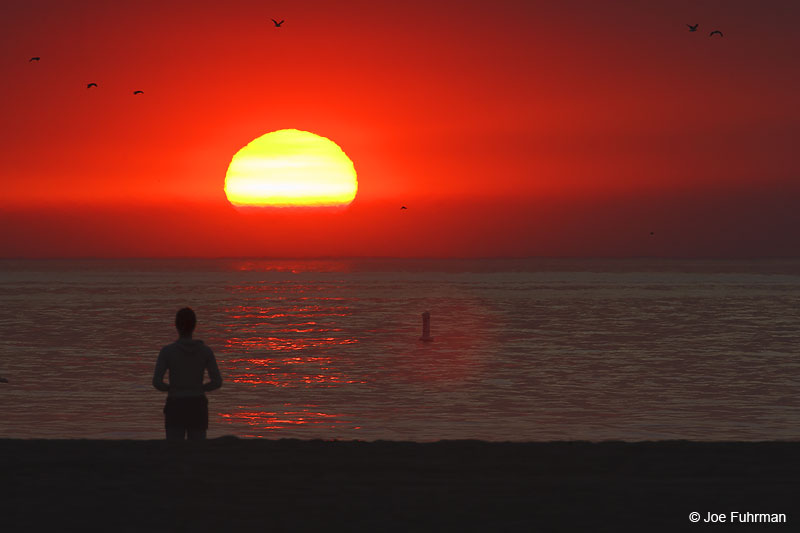 Sunset on Santa Monica Beach L.A. Co., CA October 2007