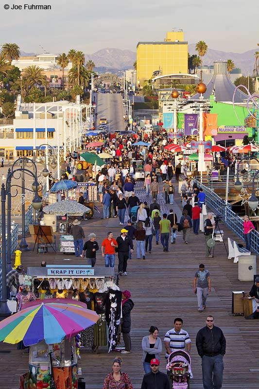 Santa Monica PierL.A. Co., CA January 2010