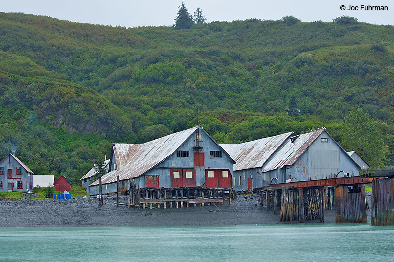 Tuxedni Bay-old cannery facilityLake Clark National Park, AK August 2016