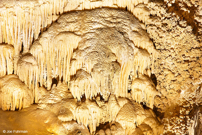 Carlsbad Caverns National Park, N.M. Nov. 2016