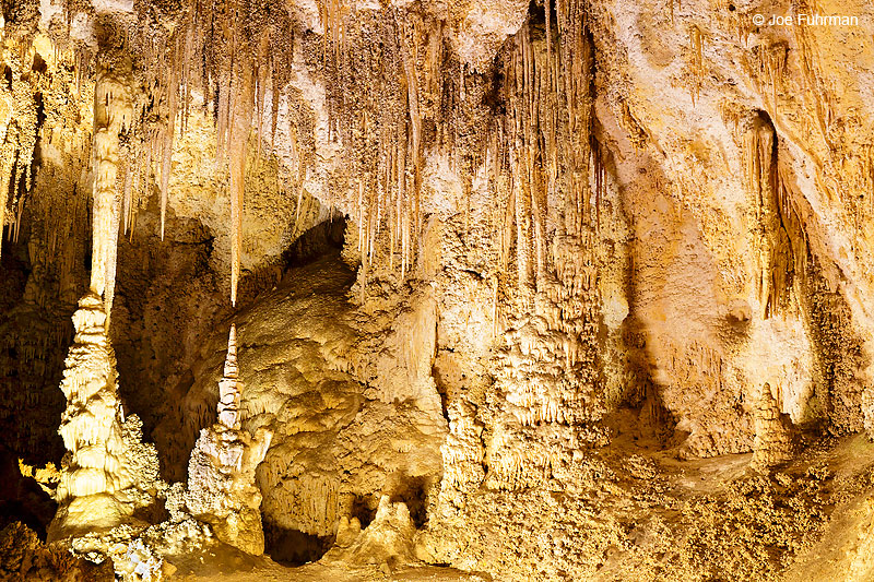 Carlsbad Caverns National Park, N.M. Nov. 2016